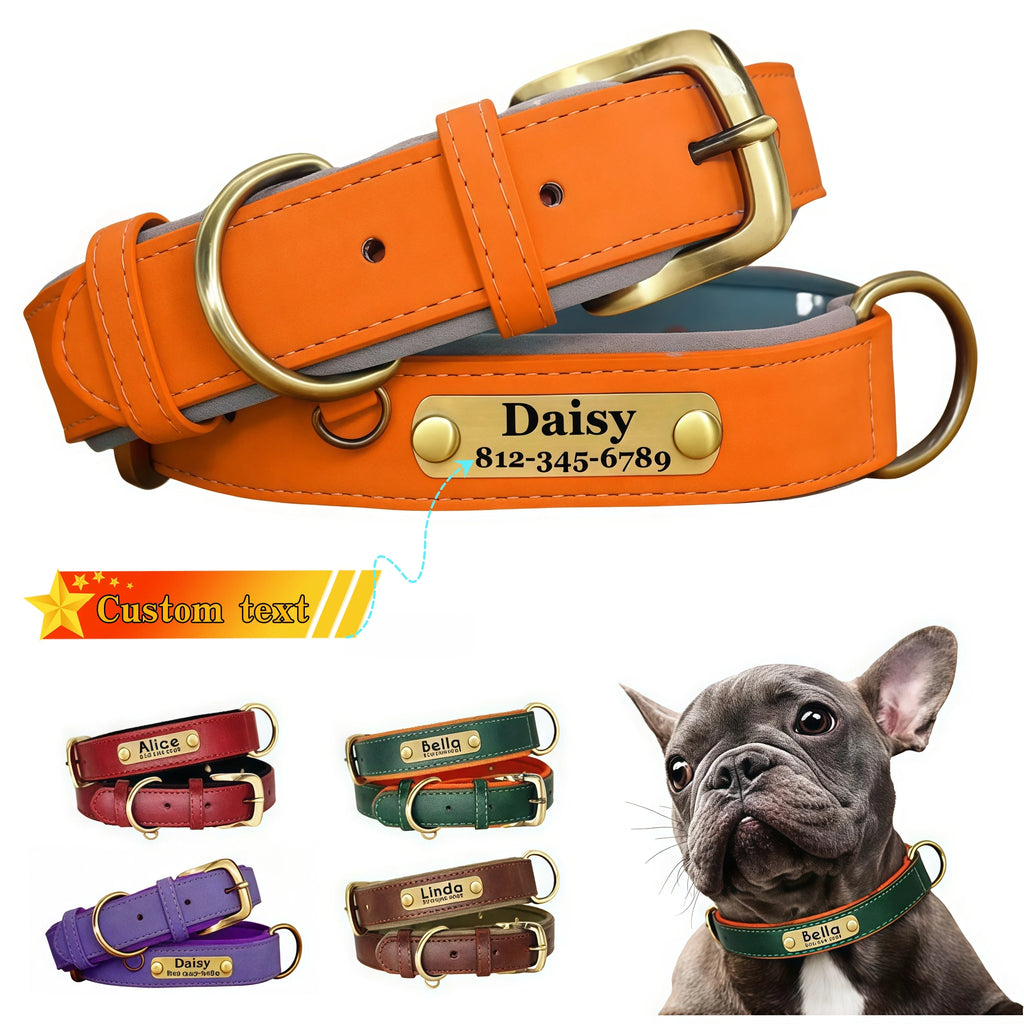 Customizable Collar made of Leather