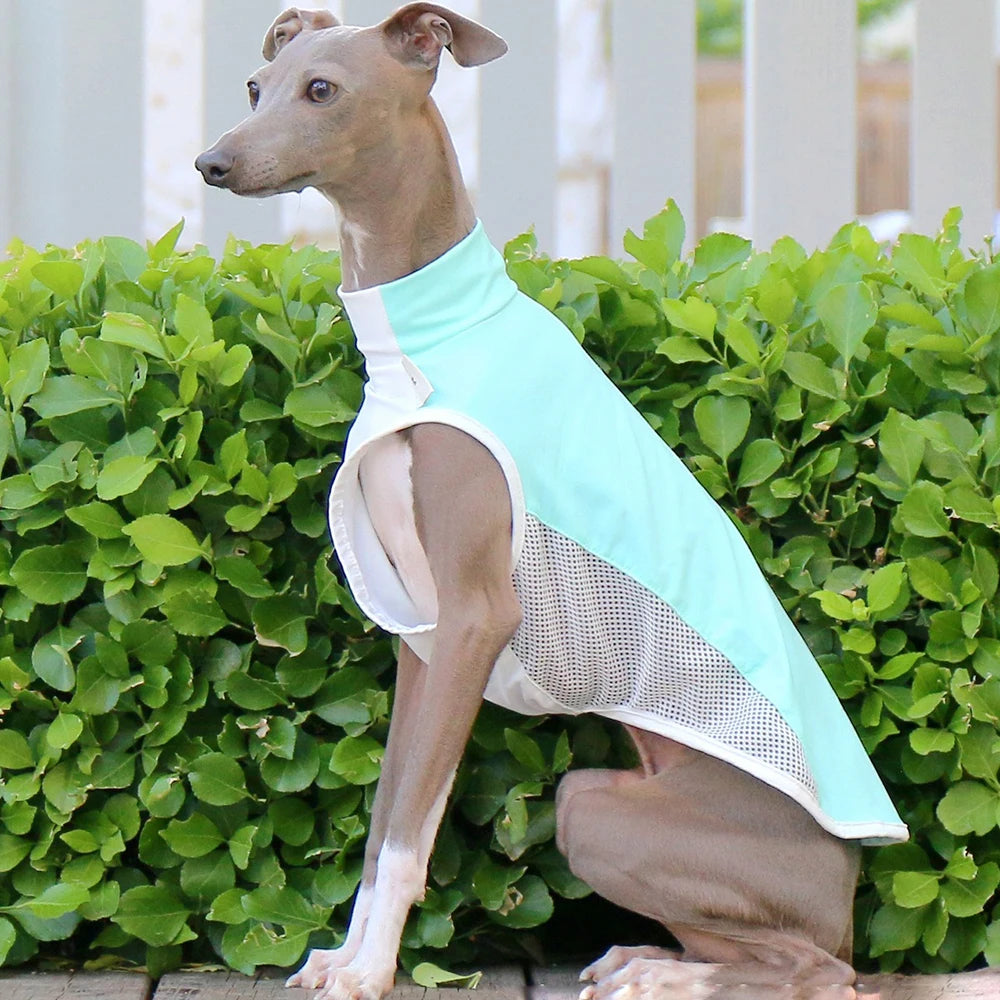 Cooling vest for Summer