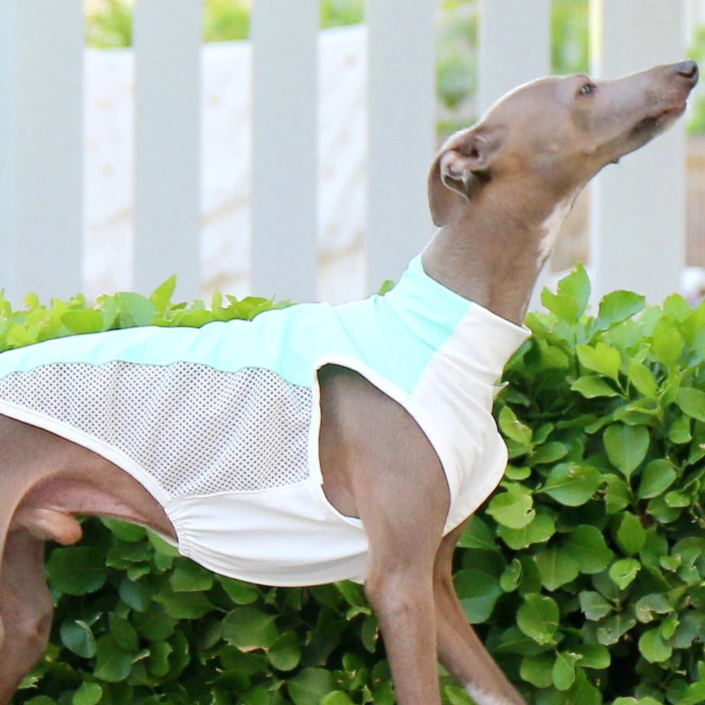 Cooling vest for Summer