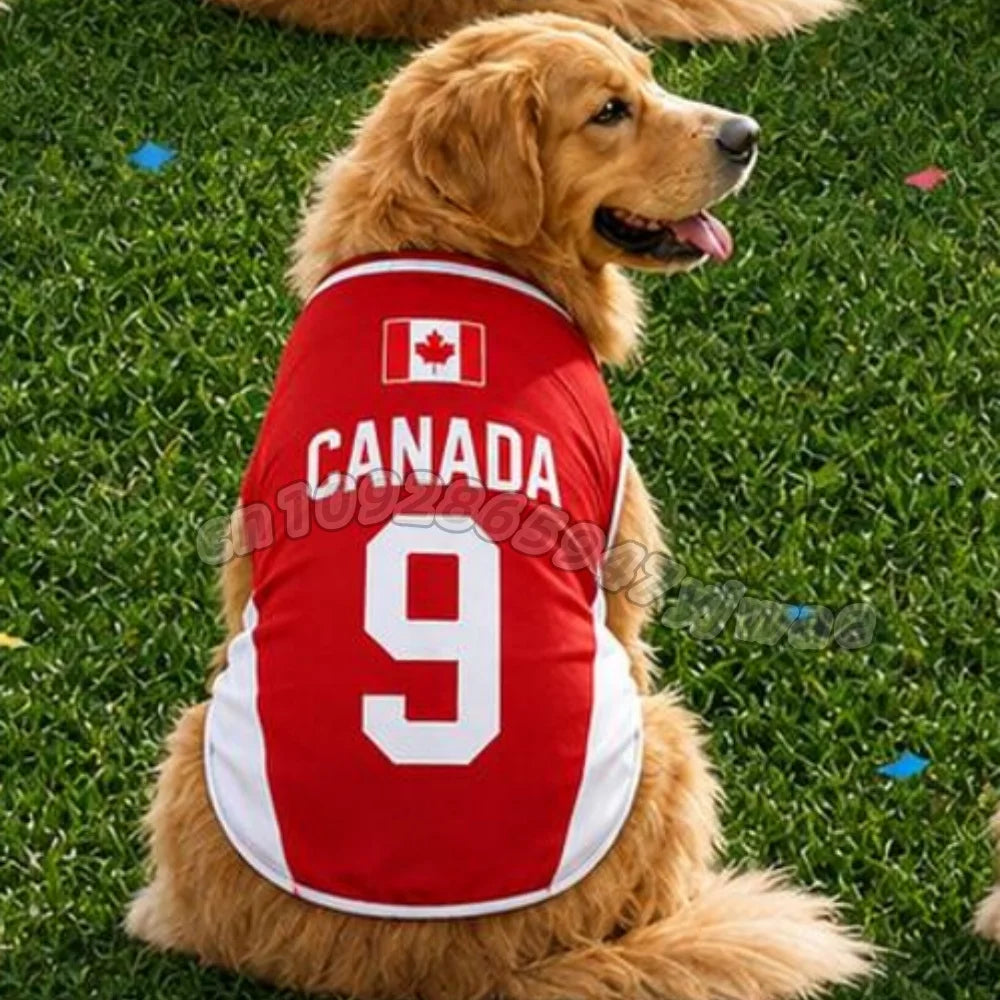 World cup Jersey for dogs
