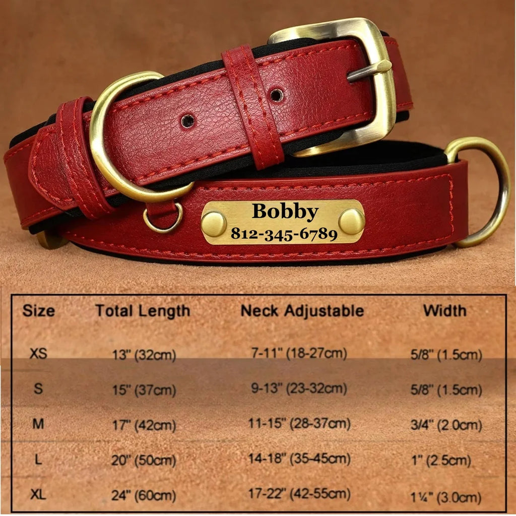 Customizable Collar made of Leather