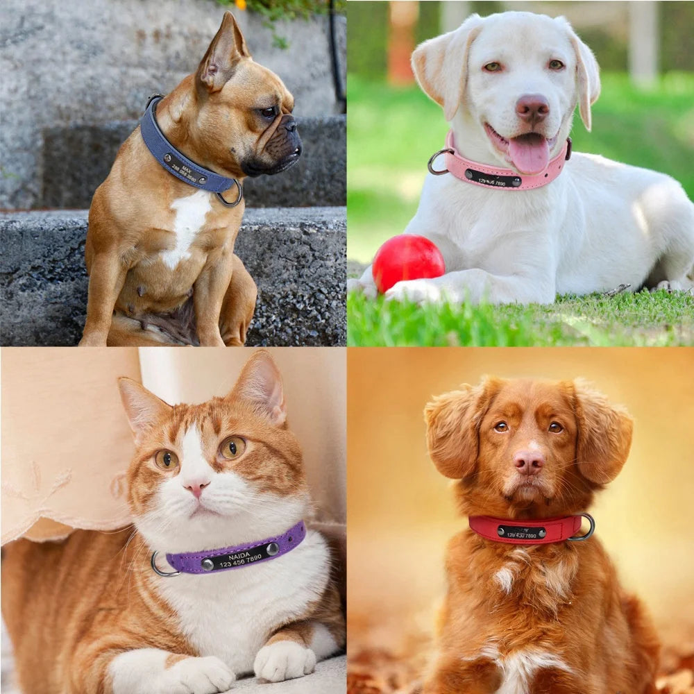 Customizable Collar made of Leather