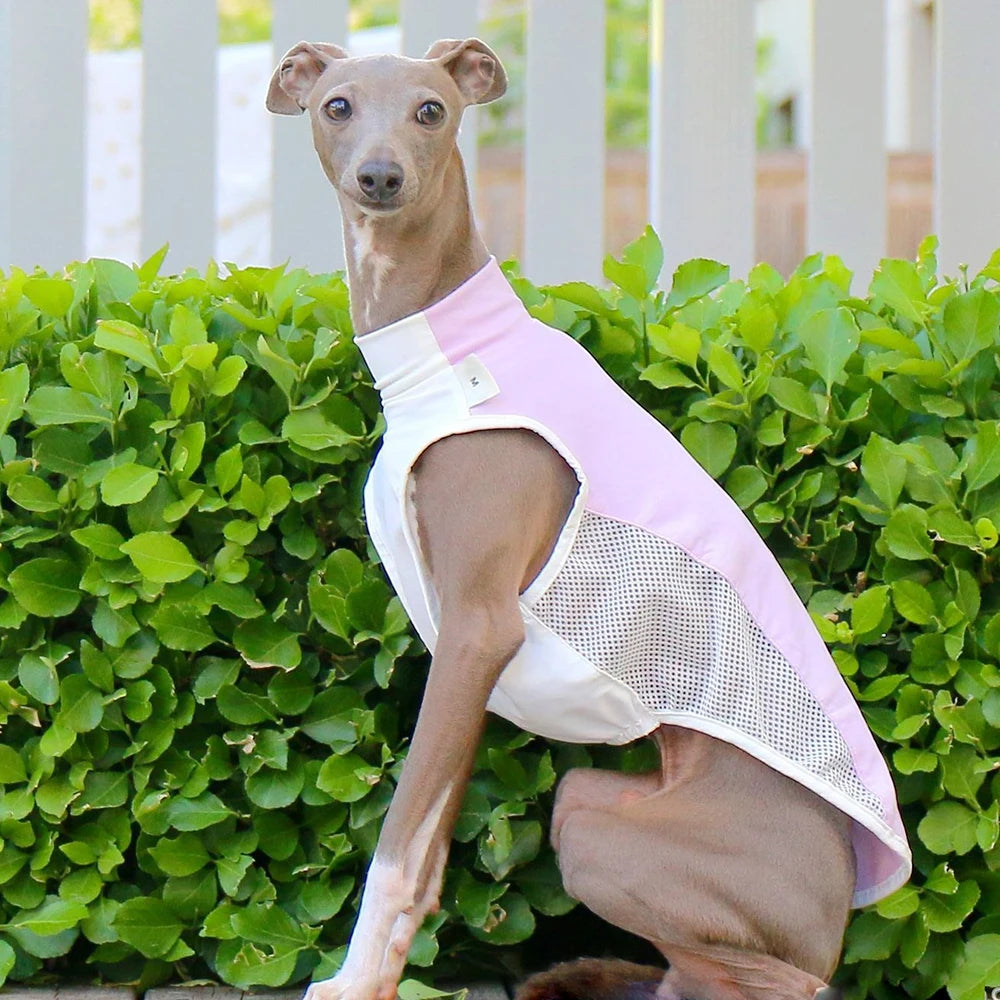 Cooling vest for Summer
